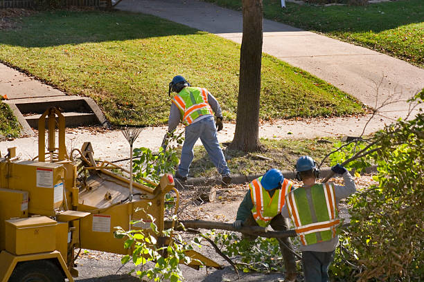 Panther Valley, NJ Tree Removal and Landscaping Services Company